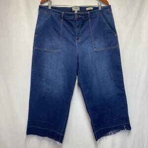 LOGO Lori Goldstein Alana Wide Leg Capri Jeans Women Size 18W Blue Frayed Hem